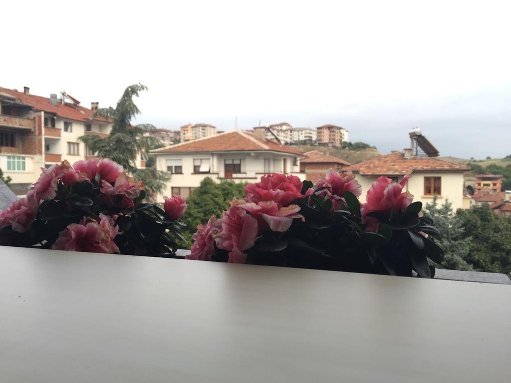 Bora Apartment Sandanski Habitación foto